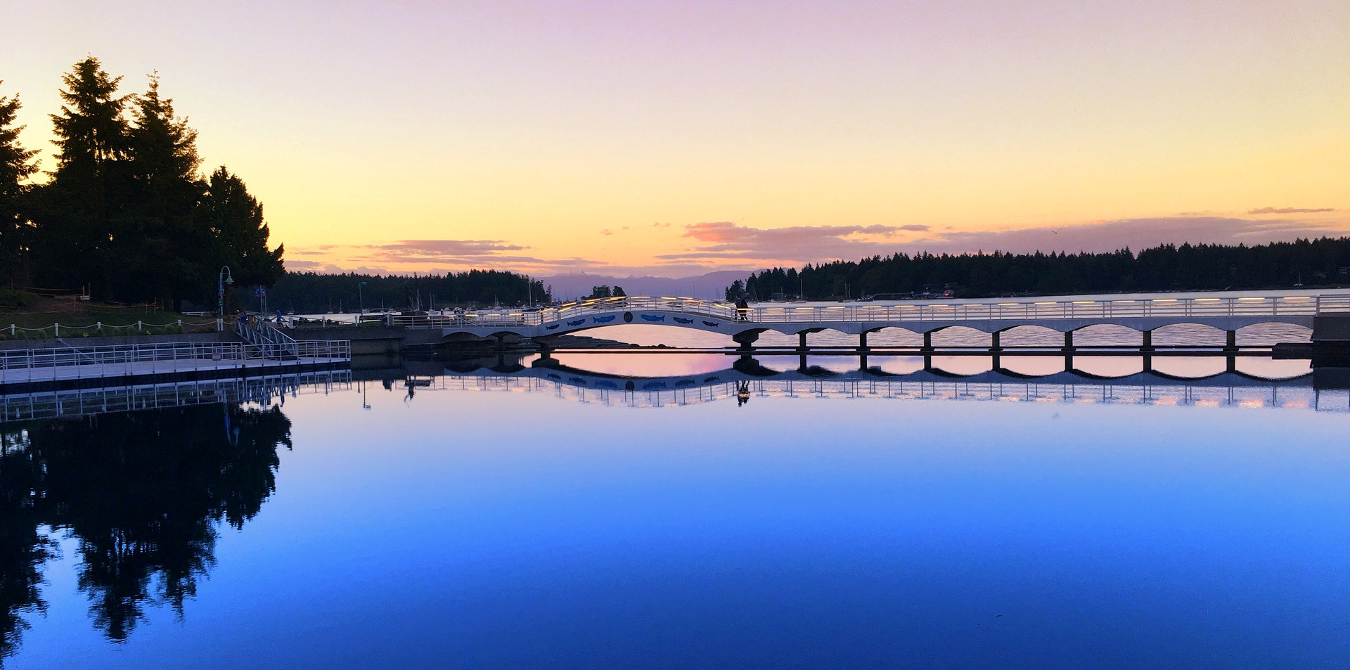 A photo of the Nanaimo Harbourfront, featuring a bridge and trees being reflected in water.