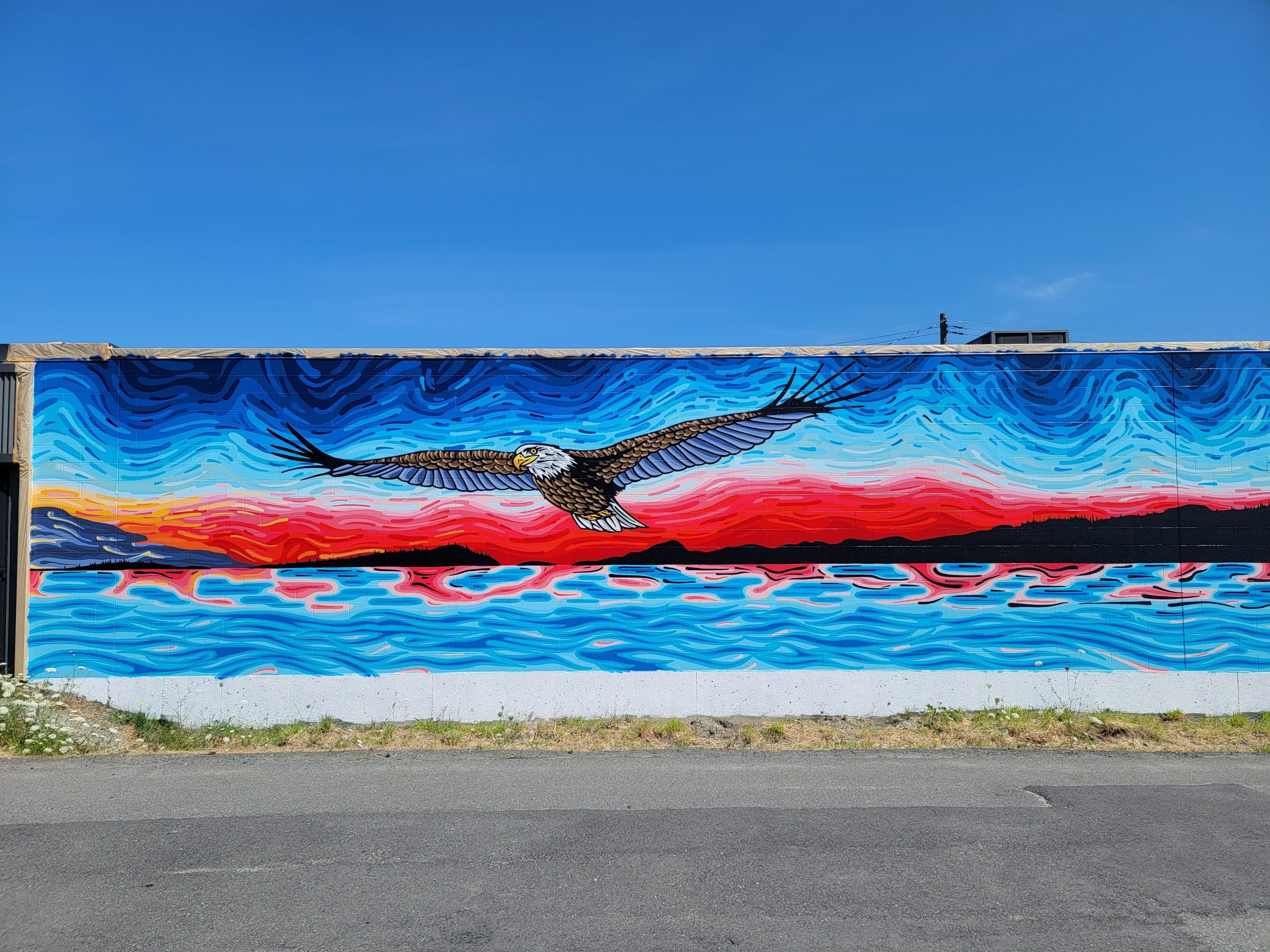 Dpp7bsHLMiJj-1000012940