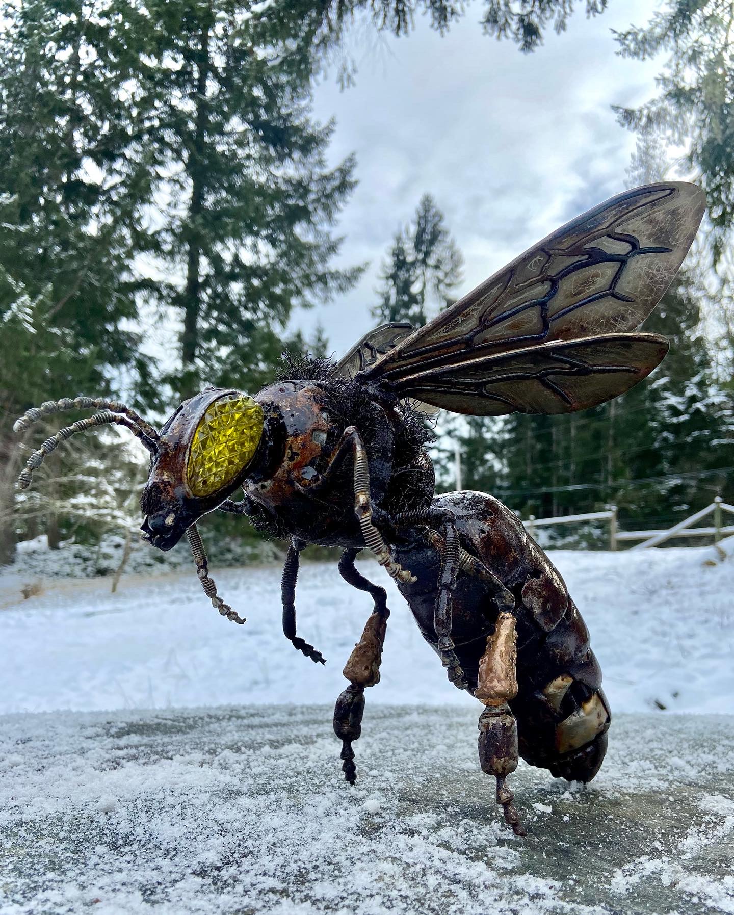 Ev9mManYU7lP-452094DB-55D9-4F43-8BB5-E0A8B1CAB86C