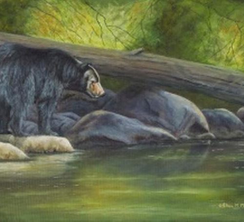 Water's Edge (Black Bear)
