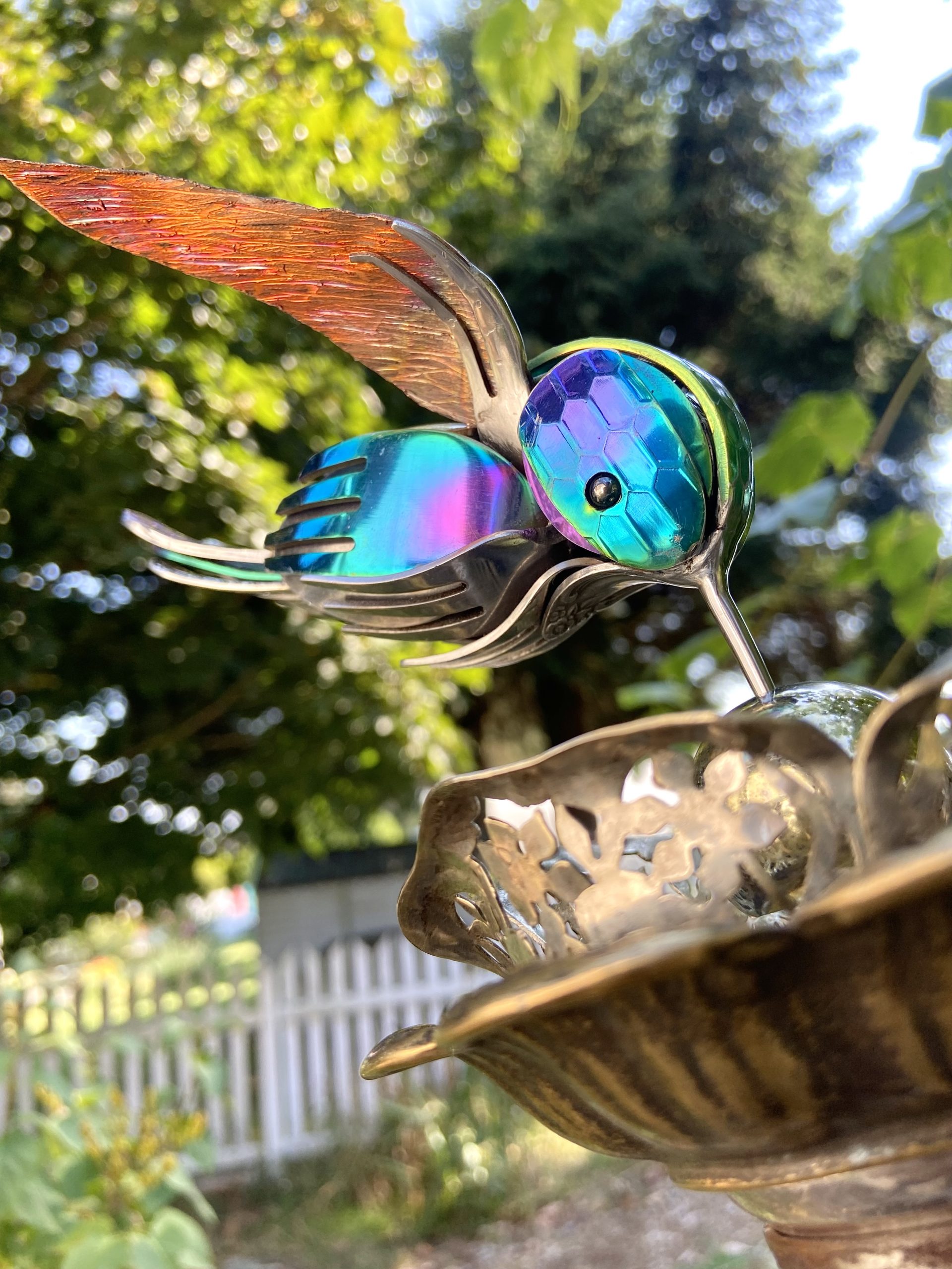 eYhx2EteJv0R-IMG_0623