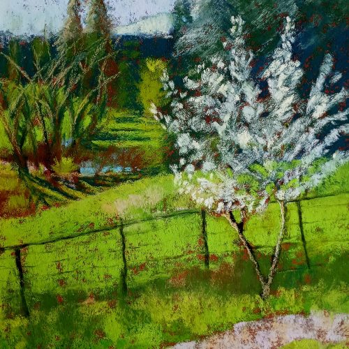 Cowichan Valley Spring