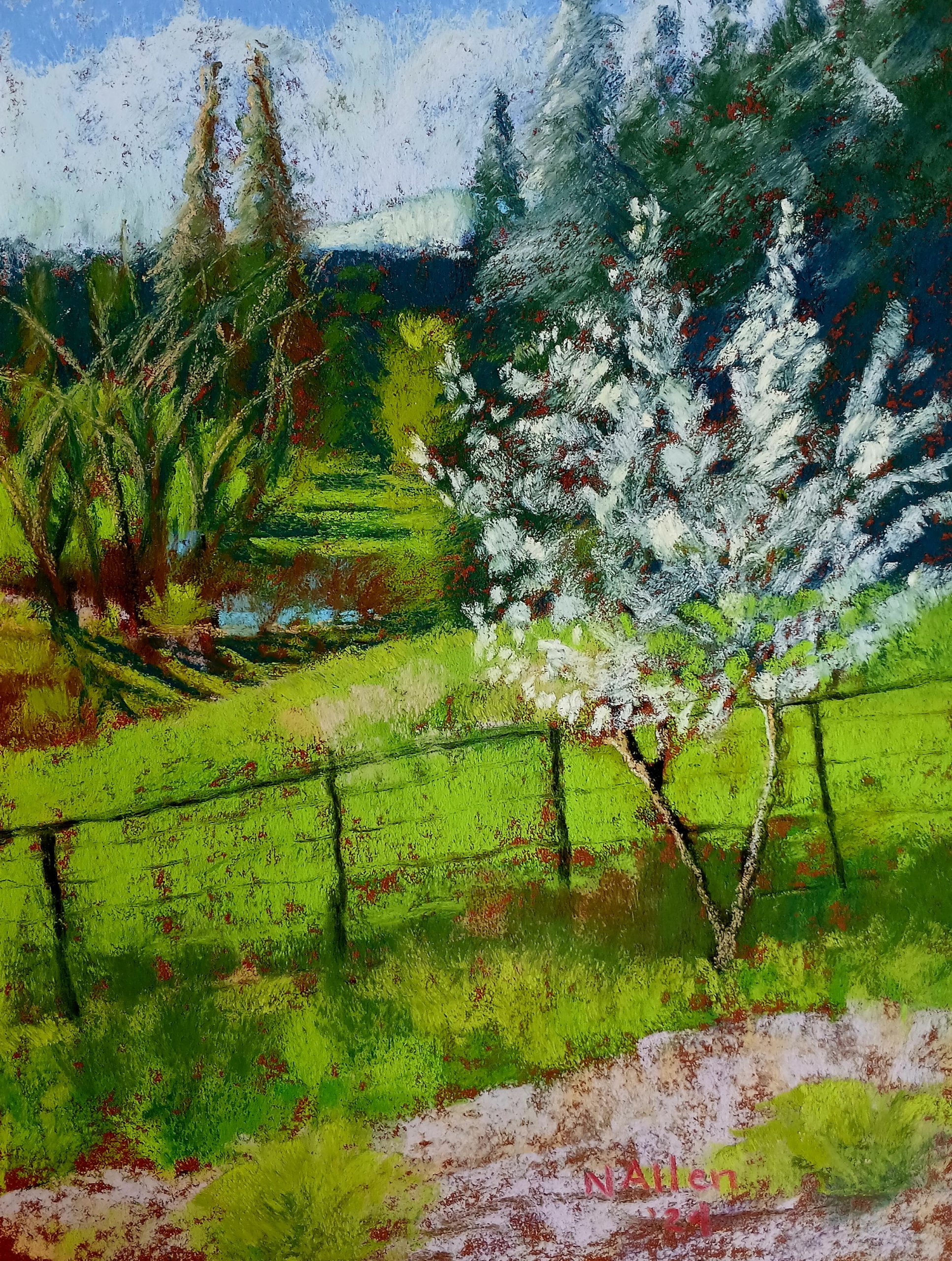 Cowichan Valley Spring