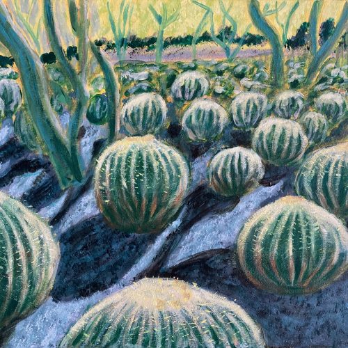 Cactus Garden