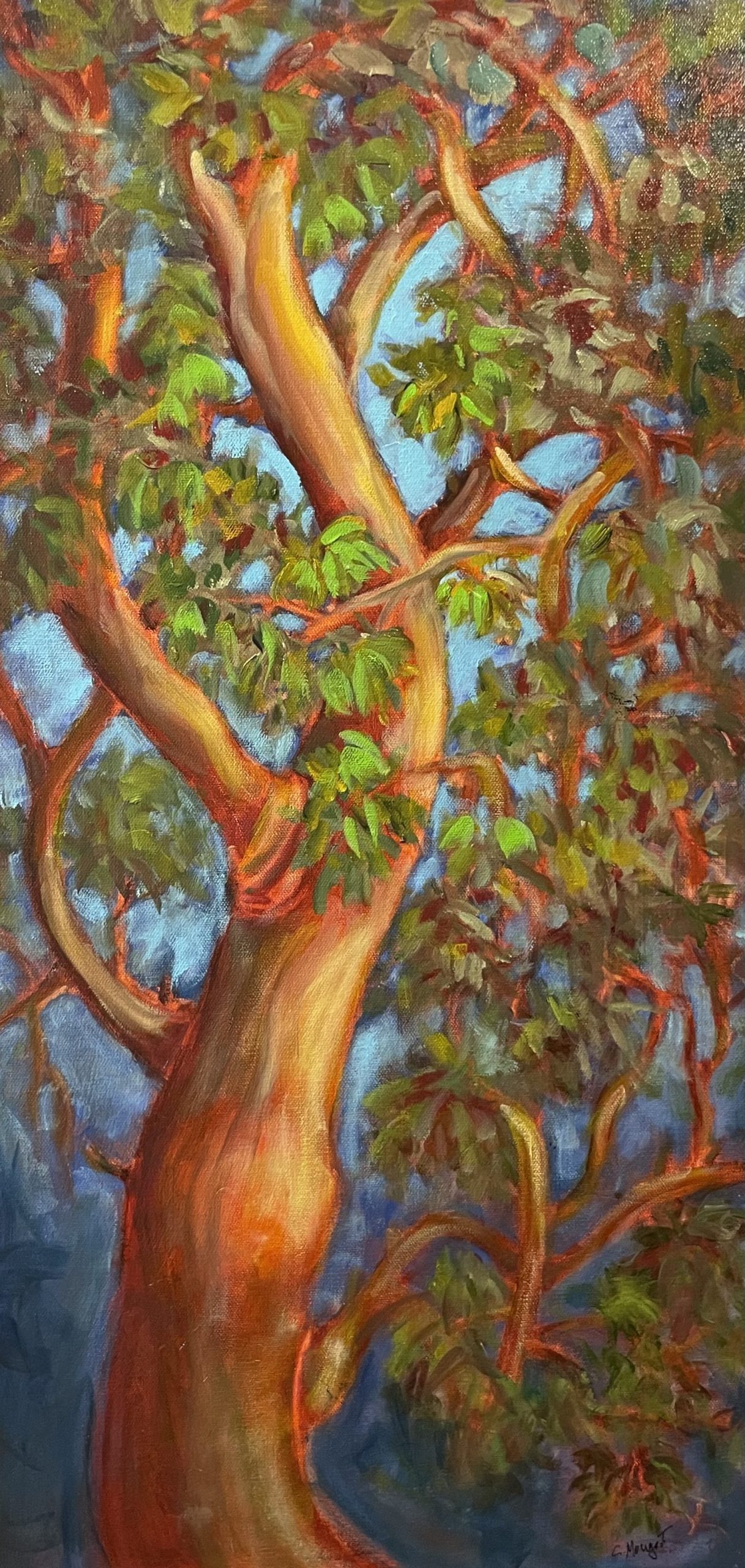 Radiant Arbutus