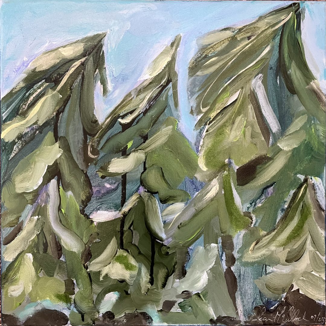 Incurvatus Flow; Petite Homage to Western Red Cedar