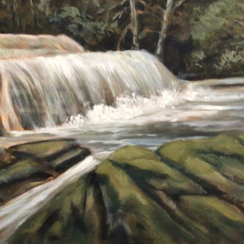 Millstone Creek in the Spring