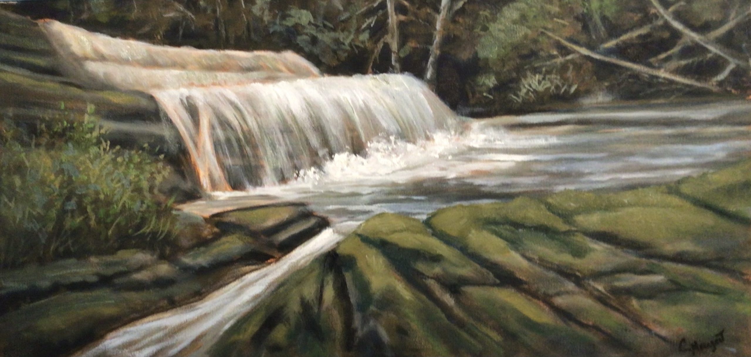 Millstone Creek in the Spring