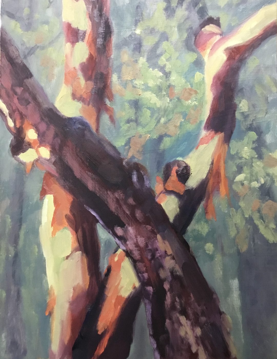 Arbutus After The Rain