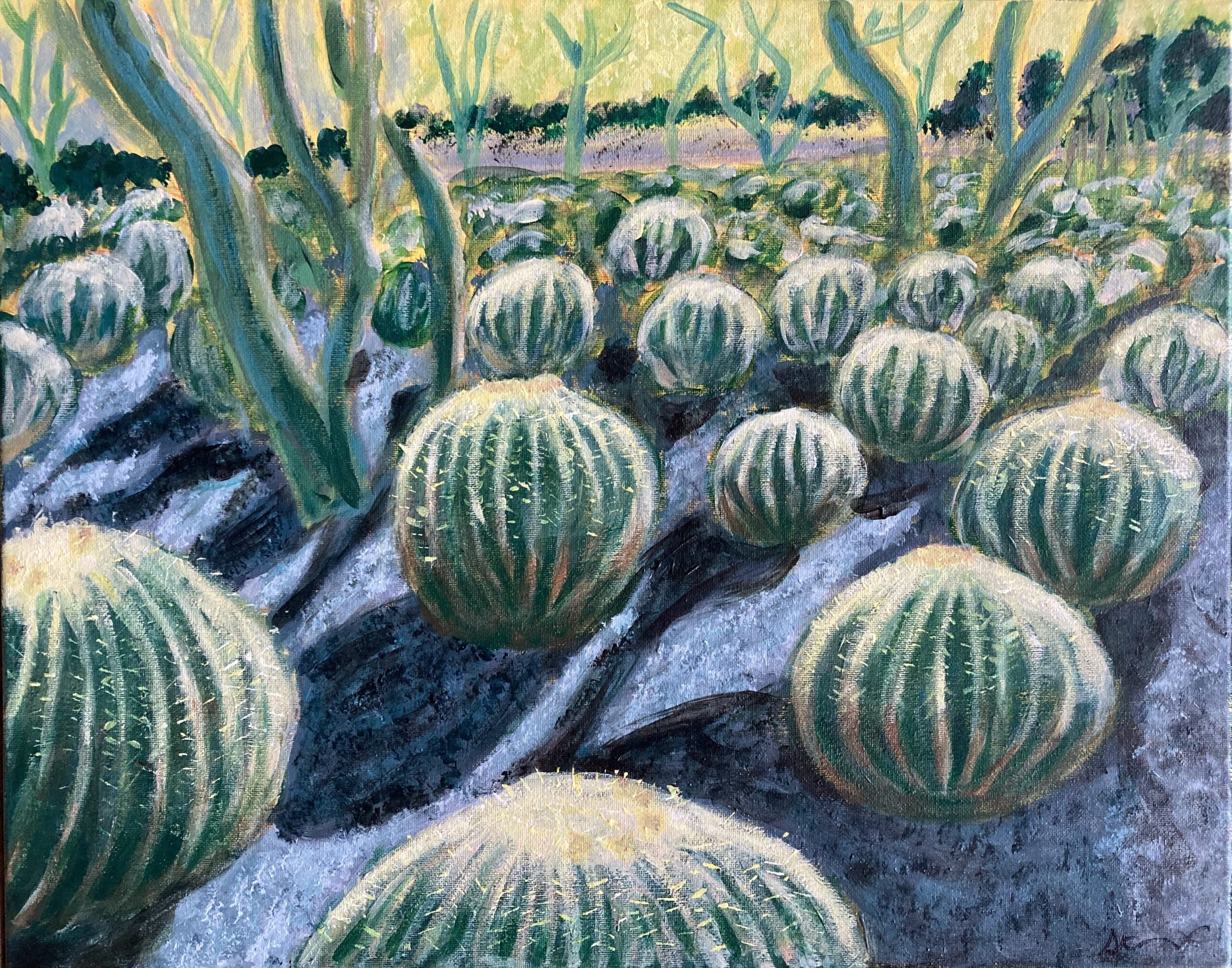 Cactus Garden