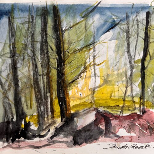 In My Forest