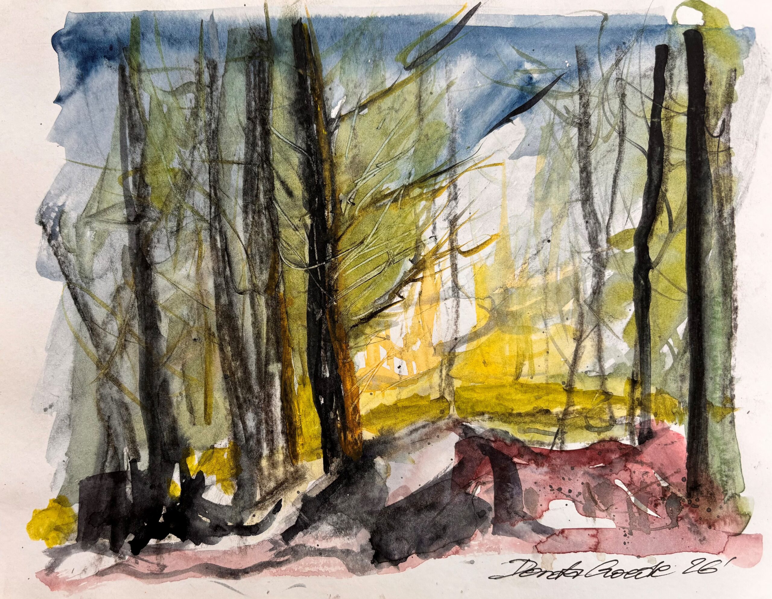 In My Forest
