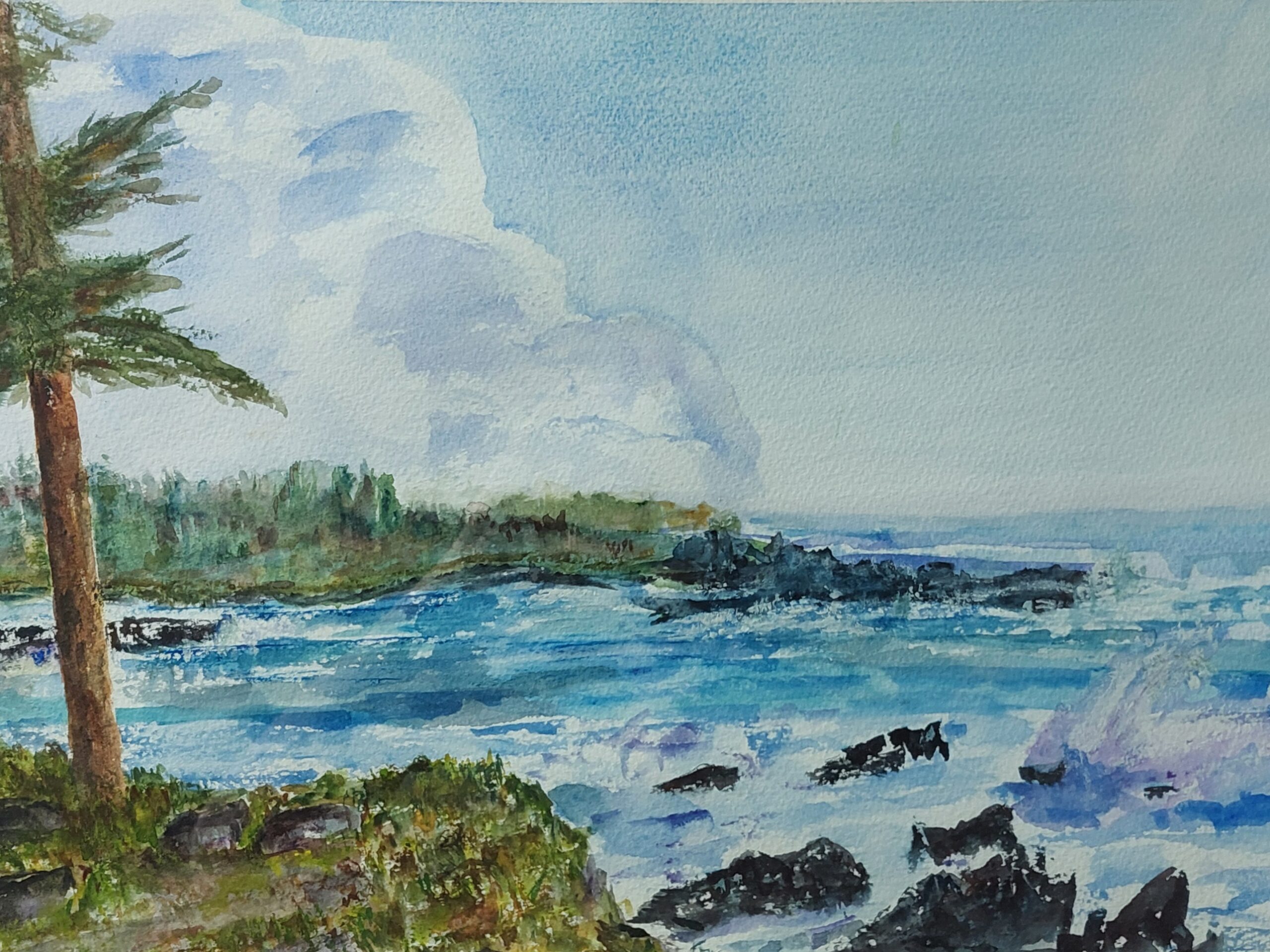 Wild Pacific Trail