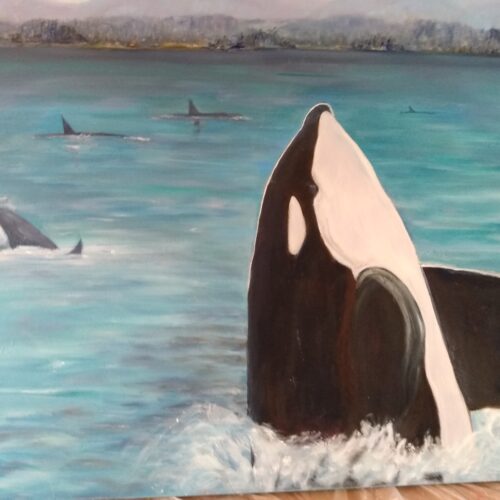 Orca