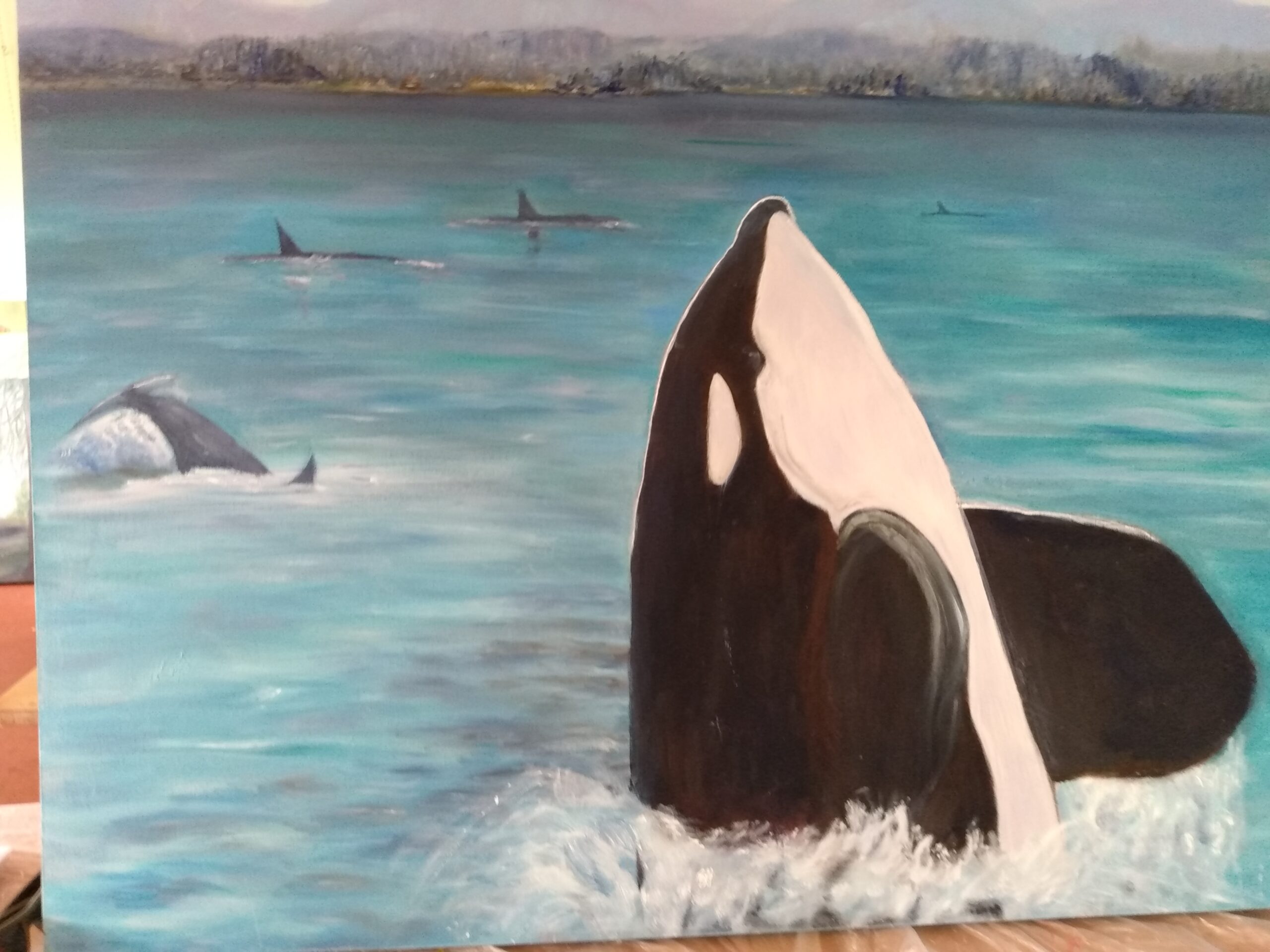 Orca