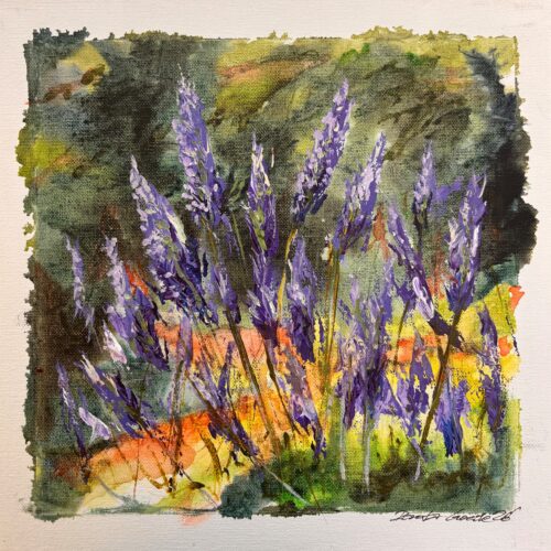 My Lavender Bliss