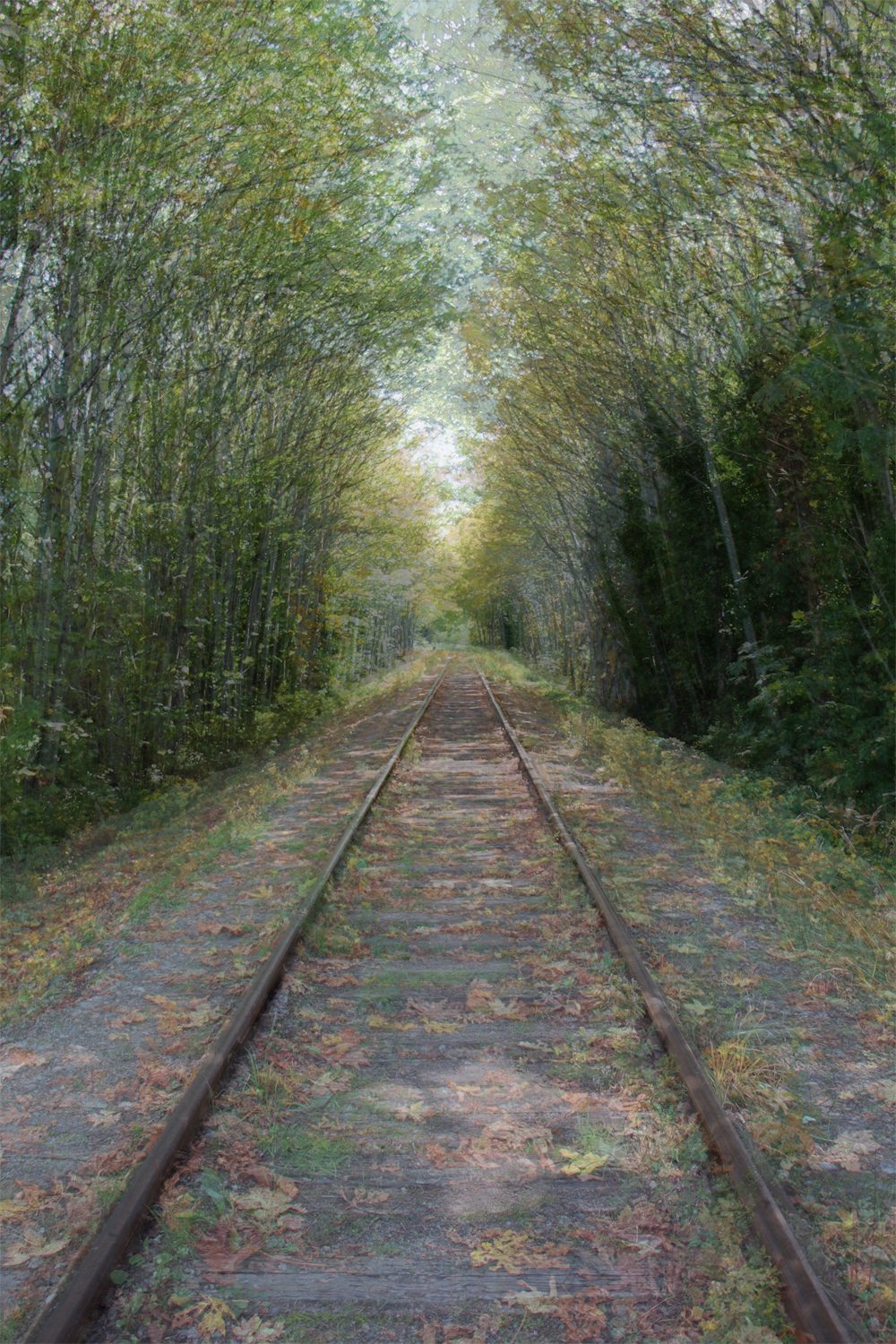 Seasons on the E&N