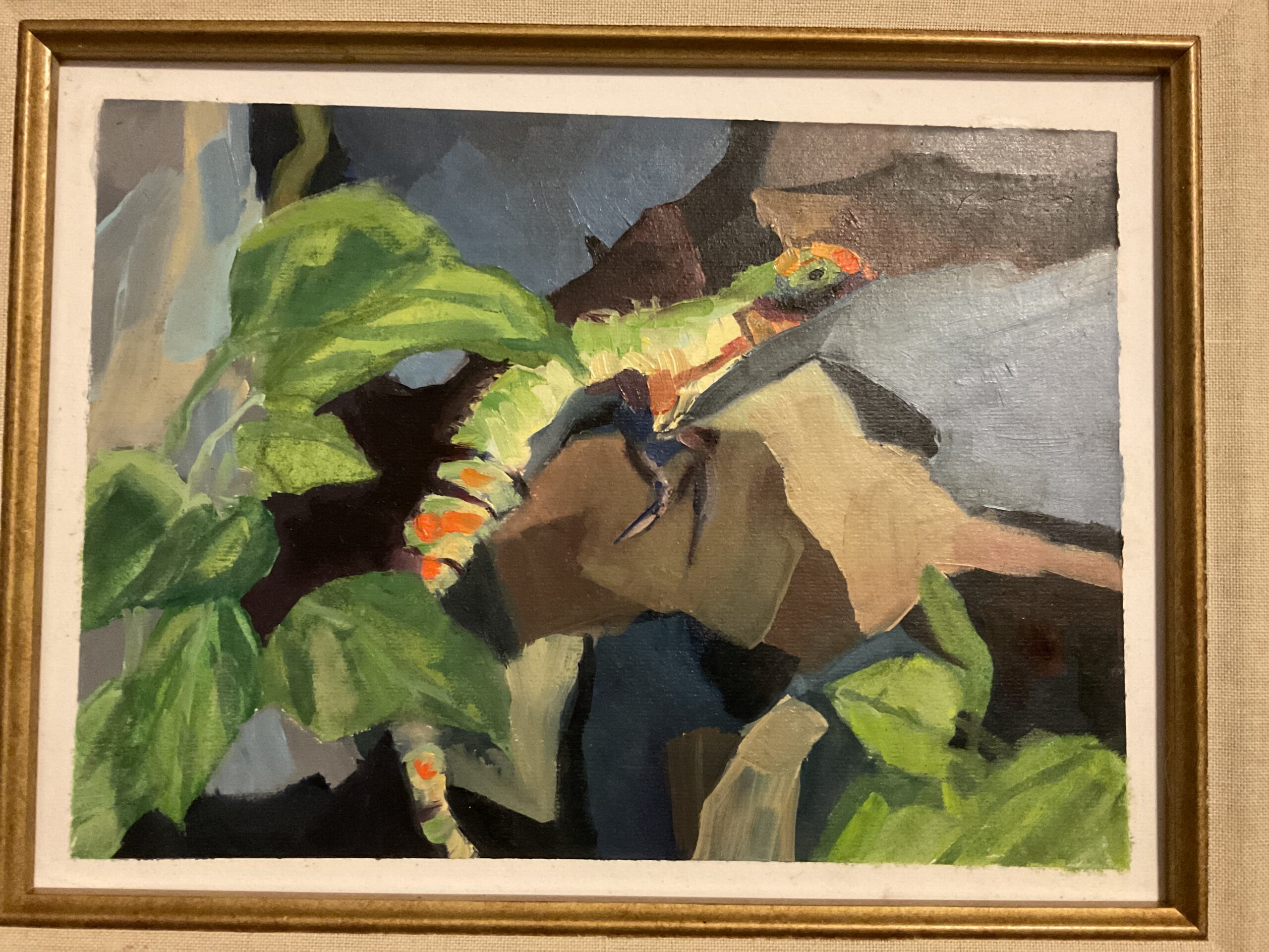 Iguana On The Rocks