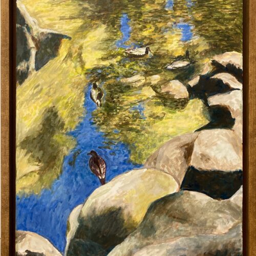 Duck Pond